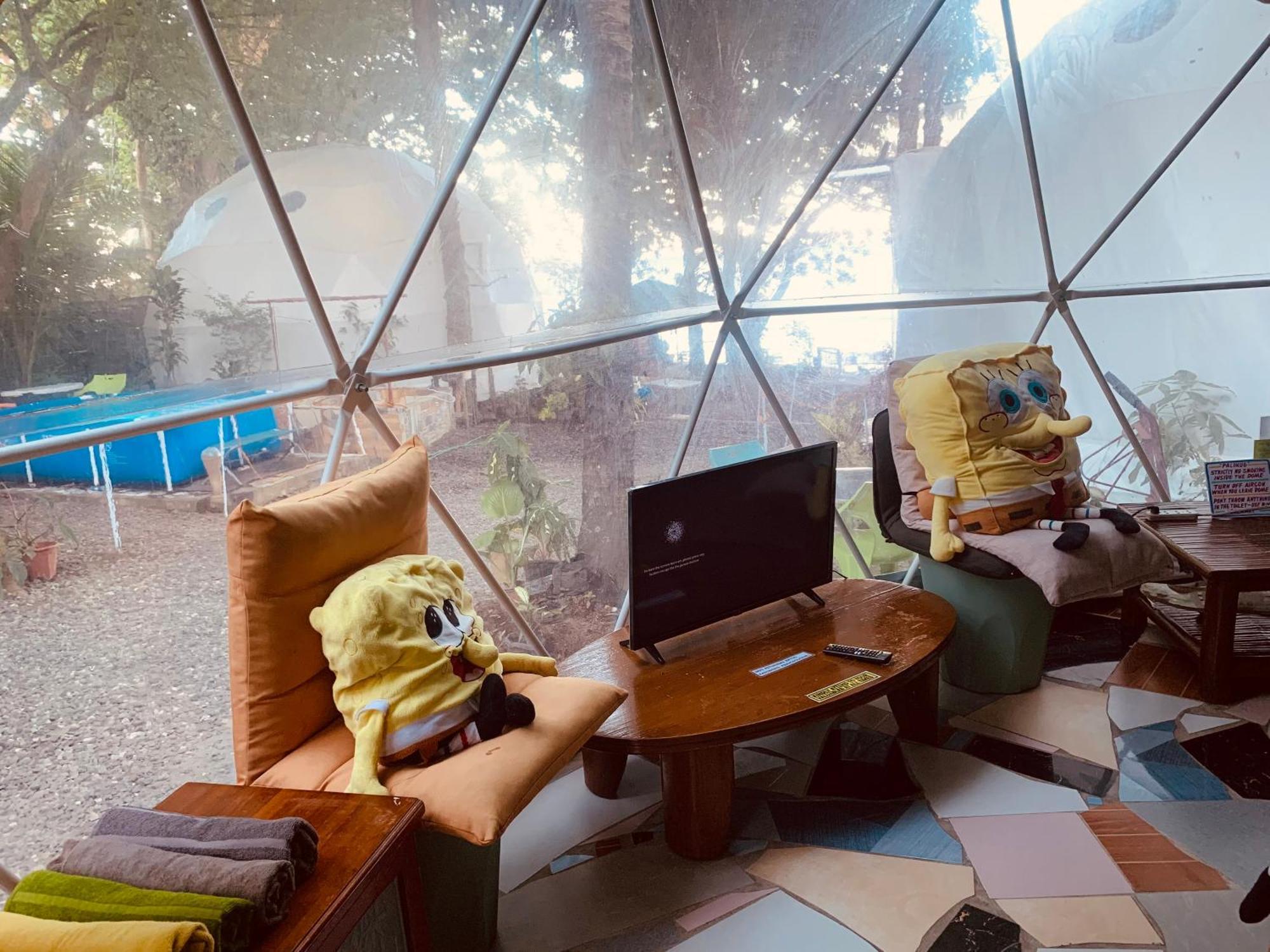 Glamping Dome Dauin Beach Resort Exterior foto