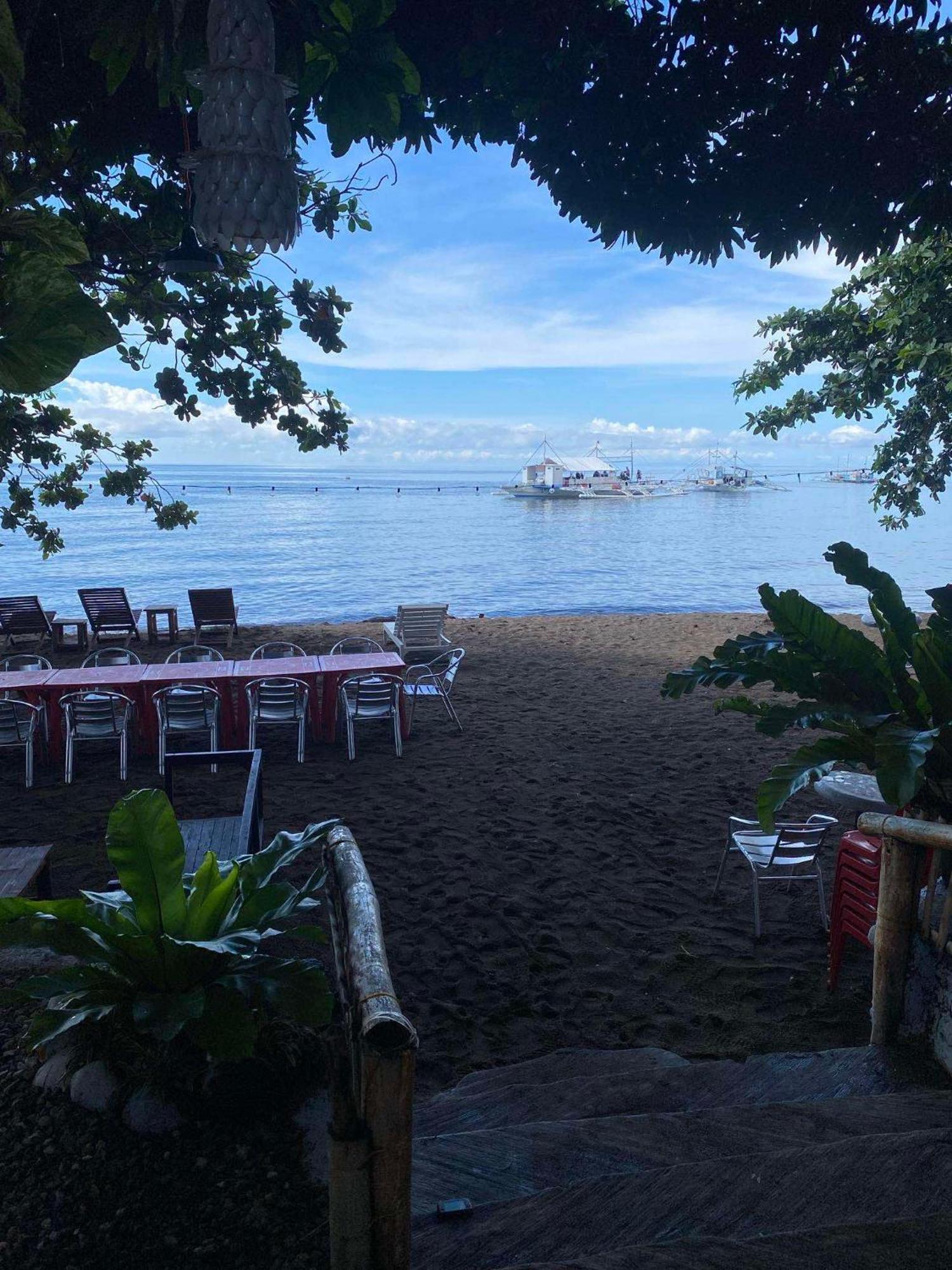 Glamping Dome Dauin Beach Resort Exterior foto